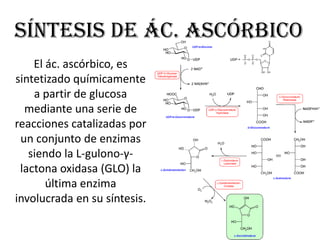 Gulono Bioquimica vit. c | PPTX