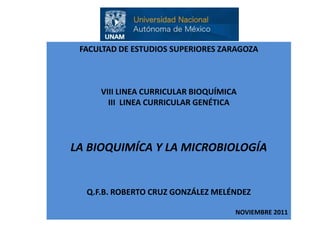 FACULTAD DE ESTUDIOS SUPERIORES ZARAGOZA



     VIII LINEA CURRICULAR BIOQUÍMICA
       III LINEA CURRICULAR GENÉTICA




LA BIOQUIMÍCA Y LA MICROBIOLOGÍA


  Q.F.B. ROBERTO CRUZ GONZÁLEZ MELÉNDEZ

                                    NOVIEMBRE 2011
 