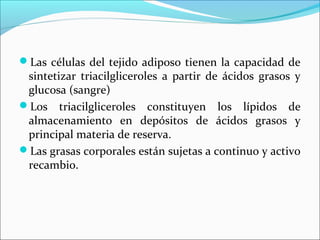 Las células del tejido adiposo tienen la capacidad de
 sintetizar triacilgliceroles a partir de ácidos grasos y
 glucosa (sangre)
Los triacilgliceroles constituyen los lípidos de
 almacenamiento en depósitos de ácidos grasos y
 principal materia de reserva.
Las grasas corporales están sujetas a continuo y activo
 recambio.
 