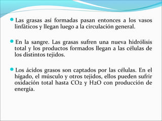 Las grasas así formadas pasan entonces a los vasos
 linfáticos y llegan luego a la circulación general.

En la sangre. Las grasas sufren una nueva hidrólisis
 total y los productos formados llegan a las células de
 los distintos tejidos.

Los ácidos grasos son captados por las células. En el
 hígado, el músculo y otros tejidos, ellos pueden sufrir
 oxidación total hasta CO2 y H2O con producción de
 energía.
 