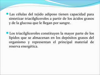 Las células del tejido adiposo tienen capacidad para
 sintetizar triacilgliceroles a partir de los ácidos grasos
 y de la glucosa que le llegan por sangre.

Los triacilgliceroles constituyen la mayor parte de los
 lípidos que se almacenan en los depósitos grasos del
 organismo y representan el principal material de
 reserva energética.
 
