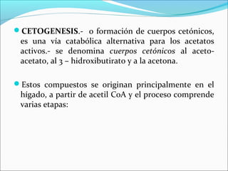 CETOGENESIS.- o formación de cuerpos cetónicos,
 es una vía catabólica alternativa para los acetatos
 activos.- se denomina cuerpos cetónicos al aceto-
 acetato, al 3 – hidroxibutirato y a la acetona.

Estos compuestos se originan principalmente en el
 hígado, a partir de acetil CoA y el proceso comprende
 varias etapas:
 