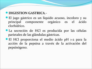 DIGESTION GASTRICA.-
El jugo gástrico es un liquido acuoso, incoloro y su
 principal componente orgánico es el ácido
 clorhídrico.
La secreción de HCl es producida por las células
 parietales de las glándulas gástricas.
El HCl proporciona el medio ácido pH 1-2 para la
 acción de la pepsina a través de la activación del
 pepsinógeno.
 