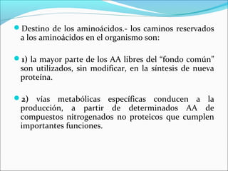 Destino de los aminoácidos.- los caminos reservados
 a los aminoácidos en el organismo son:

1) la mayor parte de los AA libres del “fondo común”
 son utilizados, sin modificar, en la síntesis de nueva
 proteína.

2) vías metabólicas específicas conducen a la
 producción, a partir de determinados AA de
 compuestos nitrogenados no proteicos que cumplen
 importantes funciones.
 