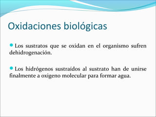 Oxidaciones biológicas
Los sustratos que se oxidan en el organismo sufren
dehidrogenación.

Los hidrógenos sustraídos al sustrato han de unirse
finalmente a oxigeno molecular para formar agua.
 