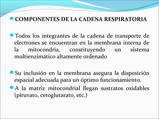 COMPONENTES DE LA CADENA RESPIRATORIA


Todos los integrantes de la cadena de transporte de
 electrones se encuentran en la membrana interna de
 la    mitocondria,   constituyendo   un    sistema
 multienzimático altamente ordenado

Su inclusión en la membrana asegura la disposición
 espacial adecuada para un óptimo funcionamiento.
A la matriz mitocondrial llegan sustratos oxidables
 (piruvato, cetoglutarato, etc.)
 