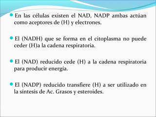 En las células existen el NAD, NADP ambas actúan
 como aceptores de (H) y electrones.

El (NADH) que se forma en el citoplasma no puede
 ceder (H)a la cadena respiratoria.

El (NAD) reducido cede (H) a la cadena respiratoria
 para producir energía.

El (NADP) reducido transfiere (H) a ser utilizado en
 la síntesis de Ac. Grasos y esteroides.
 