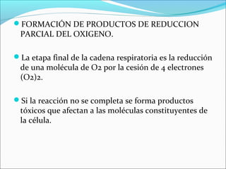 FORMACIÓN DE PRODUCTOS DE REDUCCION
 PARCIAL DEL OXIGENO.

La etapa final de la cadena respiratoria es la reducción
 de una molécula de O2 por la cesión de 4 electrones
 (O2)2.

Si la reacción no se completa se forma productos
 tóxicos que afectan a las moléculas constituyentes de
 la célula.
 