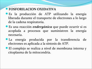 FOSFORILACION OXIDATIVA
Es la producción de ATP utilizando la energía
 liberada durante el transporte de electrones a lo largo
 de la cadena respiratoria.
Es una reacción endergónica que puede ocurrir si es
 acoplada a procesos que suministren la energía
 necesaria.
La energía producida por la transferencia de
 electrones es aplicada a la síntesis de ATP.
El complejo se realiza a nivel de membrana interna y
 citoplasma de la mitocondria.
 