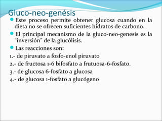 Gluco-neo-genésis
Este proceso permite obtener glucosa cuando en la
   dieta no se ofrecen suficientes hidratos de carbono.
El principal mecanismo de la gluco-neo-genesis es la
   “inversión” de la glucólisis.
Las reacciones son:
1.- de piruvato a fosfo-enol piruvato
2.- de fructosa 1-6 bifosfato a frutuosa-6-fosfato.
3.- de glucosa 6-fosfato a glucosa
4.- de glucosa 1-fosfato a glucógeno
 