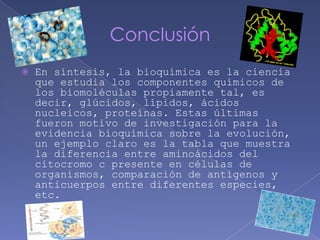 ConclusiónEn síntesis, la bioquímica es la ciencia que estudia los componentes químicos de los biomoléculas propiamente tal, es decir, glúcidos, lípidos, ácidos nucleicos, proteínas. Estas últimas fueron motivo de investigación para la evidencia bioquímica sobre la evolución, un ejemplo claro es la tabla que muestra la diferencia entre aminoácidos del citocromo c presente en células de organismos, comparación de antígenos y anticuerpos entre diferentes especies, etc. 