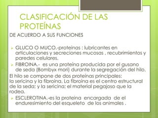 CLASIFICACIÓN DE LAS
    PROTEÍNAS
DE ACUERDO A SUS FUNCIONES

  GLUCO O MUCO.-proteinas : lubricantes en
   articulaciones y secreciones mucosas , recubrimientos y
   paredes celulares.
  FIBROINA.- es una proteína producida por el gusano
   de seda (Bombyx mori) durante la segregación del hilo.
El hilo se compone de dos proteínas principales:
la sericina y la fibroína. La fibroína es el centro estructural
de la seda; y la sericina; el material pegajoso que la
rodea.
  ESCLEROTINA.-es la proteina encargada de el
   enduresimiento del esqueleto de los animales .
 