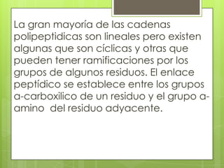 La gran mayoría de las cadenas
polipeptidicas son lineales pero existen
algunas que son cíclicas y otras que
pueden tener ramificaciones por los
grupos de algunos residuos. El enlace
peptídico se establece entre los grupos
a-carboxilico de un residuo y el grupo a-
amino del residuo adyacente.
 