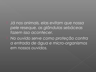  Já nos animais, elas evitam que nossa
pele reseque, as glândulas sebáceas
fazem isso acontecer.
 No ouvido serve como proteção contra
a entrada de água e micro-organismos
em nossos ouvidos.
 