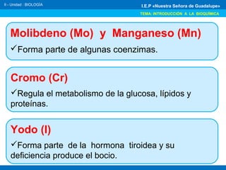 Molibdeno (Mo) y Manganeso (Mn)
Forma parte de algunas coenzimas.
II - Unidad : BIOLOGÍA
TEMA: INTRODUCCIÓN A LA BIOQUÍMICA
I.E.P «Nuestra Señora de Guadalupe»
Cromo (Cr)
Regula el metabolismo de la glucosa, lípidos y
proteínas.
Yodo (I)
Forma parte de la hormona tiroidea y su
deficiencia produce el bocio.
 