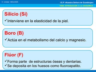 Silicio (Si)
Interviene en la elasticidad de la piel.
II - Unidad : BIOLOGÍA
TEMA: INTRODUCCIÓN A LA BIOQUÍMICA
I.E.P «Nuestra Señora de Guadalupe»
Boro (B)
Actúa en el metabolismo del calcio y magnesio.
Flúor (F)
Forma parte de estructuras óseas y dentarias.
Se deposita en los huesos como fluoroapatito.
 