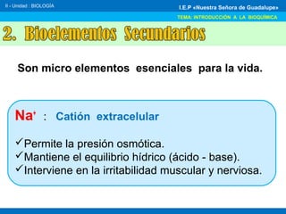 Na+
: Catión extracelular
Permite la presión osmótica.
Mantiene el equilibrio hídrico (ácido - base).
Interviene en la irritabilidad muscular y nerviosa.
II - Unidad : BIOLOGÍA
TEMA: INTRODUCCIÓN A LA BIOQUÍMICA
I.E.P «Nuestra Señora de Guadalupe»
Son micro elementos esenciales para la vida.
 