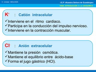 K+
: Catión intracelular
Interviene en el ritmo cardiaco.
Participa en la conducción del impulso nervioso.
Interviene en la contracción muscular.
II - Unidad : BIOLOGÍA
TEMA: INTRODUCCIÓN A LA BIOQUÍMICA
I.E.P «Nuestra Señora de Guadalupe»
Cl-
: Anión extracelular
Mantiene la presión osmótica.
Mantiene el equilibrio entre ácido-base
Forma el jugo gástrico (HCl).
 