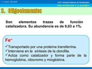 II - Unidad : BIOLOGÍA
TEMA: INTRODUCCIÓN A LA BIOQUÍMICA
I.E.P «Nuestra Señora de Guadalupe»
Son elementos trazas de función
catalizadora. Su abundancia es de 0,03 a 1%.
Fe++
Transportado por una proteína transferrina.
Interviene en la síntesis de la clorofila.
Actúa como catalizador y forma parte de la
hemoglobina, citocromo y mioglobina.
 