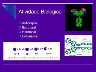 Atividade Biológica Anticorpos Estrutural Hormonal Enzimática 