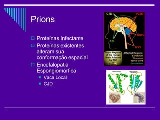 Prions Proteínas Infectante Proteínas existentes alteram sua conformação espacial Encefalopatia Espongiomórfica Vaca Local CJD 
