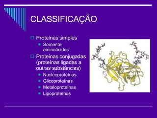 CLASSIFICAÇÃO Proteínas simples Somente aminoácidos Proteínas conjugadas (proteínas ligadas a outras substâncias) Nucleoproteínas Glicoproteínas Metaloproteínas Lipoproteínas 