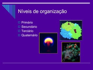 Níveis de organização Primário Secundário Terciário Quaternário 