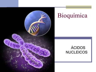 Bioquímica

ÁCIDOS
NUCLEICOS

 