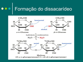 Formação do dissacarídeo

 