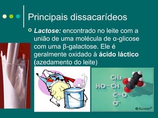Principais dissacarídeos


Lactose: encontrado no leite com a
união de uma molécula de α-glicose
com uma β-galactose. Ele é
geralmente oxidado à ácido láctico 
(azedamento do leite)

 