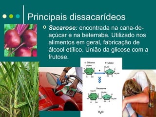 Principais dissacarídeos


Sacarose: encontrada na cana-deaçúcar e na beterraba. Utilizado nos
alimentos em geral, fabricação de
álcool etílico. União da glicose com a
frutose.

 