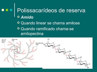Polissacarídeos de reserva
Amido
 Quando linear se chama amilose
 Quando ramificado chama-se
amilopectina


OH
HO
HO

O
H OH
OH

O
HO

O
H OH
OH
O
HO

O
H OH
OH

O
HO

O
H
OH

OH

 