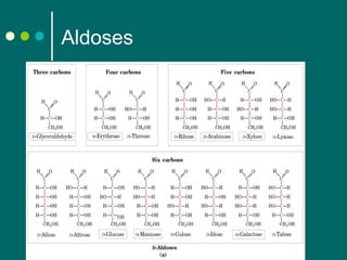 Aldoses

 