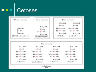 Cetoses

 