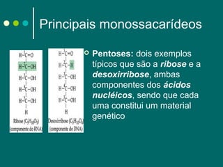 Principais monossacarídeos
 



Pentoses: dois exemplos
típicos que são a ribose e a
desoxirribose, ambas
componentes dos ácidos
nucléicos, sendo que cada
uma constitui um material
genético

 