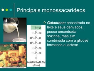 Principais monossacarídeos


Galactose: encontrada no
leite e seus derivados,
pouco encontrada
sozinha, mas sim
combinada com a glicose
formando a lactose

 