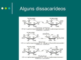 Alguns dissacarídeos

 