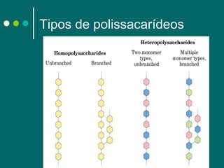 Tipos de polissacarídeos

 
