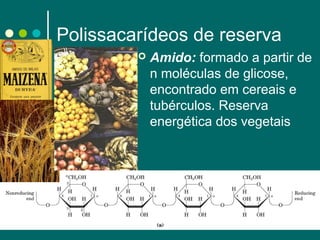 Polissacarídeos de reserva


Amido: formado a partir de
n moléculas de glicose,
encontrado em cereais e
tubérculos. Reserva
energética dos vegetais

 