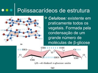 Polissacarídeos de estrutura


Celulose: existente em
praticamente todos os
vegetais. Formada pela
condensação de um
grande número de
moléculas de β-glicose

 