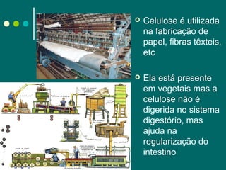 

Celulose é utilizada
na fabricação de
papel, fibras têxteis,
etc



Ela está presente
em vegetais mas a
celulose não é
digerida no sistema
digestório, mas
ajuda na
regularização do
intestino

 