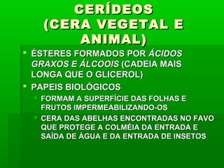 CERÍDEOSCERÍDEOS
(CERA VEGETAL E(CERA VEGETAL E
ANIMAL)ANIMAL)
 ÉSTERES FORMADOS PORÉSTERES FORMADOS POR ÁCIDOSÁCIDOS
GRAXOS E ÁLCOOISGRAXOS E ÁLCOOIS (CADEIA MAIS(CADEIA MAIS
LONGA QUE O GLICEROL)LONGA QUE O GLICEROL)
 PAPEIS BIOLÓGICOSPAPEIS BIOLÓGICOS
 FORMAM A SUPERFÍCIE DAS FOLHAS EFORMAM A SUPERFÍCIE DAS FOLHAS E
FRUTOS IMPERMEABILIZANDO-OSFRUTOS IMPERMEABILIZANDO-OS
 CERA DAS ABELHAS ENCONTRADAS NO FAVOCERA DAS ABELHAS ENCONTRADAS NO FAVO
QUE PROTEGE A COLMÉIA DA ENTRADA EQUE PROTEGE A COLMÉIA DA ENTRADA E
SAÍDA DE ÁGUA E DA ENTRADA DE INSETOSSAÍDA DE ÁGUA E DA ENTRADA DE INSETOS
 