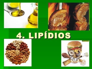 4. LIPÍDIOS
 