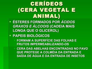 CERÍDEOS
    (CERA VEGETAL E
        ANIMAL)
 ÉSTERES FORMADOS POR ÁCIDOS
  GRAXOS E ÁLCOOIS (CADEIA MAIS
  LONGA QUE O GLICEROL)
 PAPEIS BIOLÓGICOS
   FORMAM A SUPERFÍCIE DAS FOLHAS E
    FRUTOS IMPERMEABILIZANDO-OS
   CERA DAS ABELHAS ENCONTRADAS NO FAVO
    QUE PROTEGE A COLMÉIA DA ENTRADA E
    SAÍDA DE ÁGUA E DA ENTRADA DE INSETOS
 