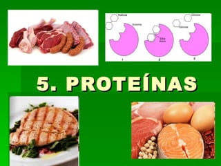 5. PROTEÍNAS
 