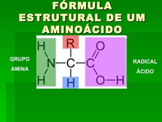 FÓRMULA
  ESTRUTURAL DE UM
     AMINOÁCIDO

GRUPO           RADICAL
AMINA           ÁCIDO
 