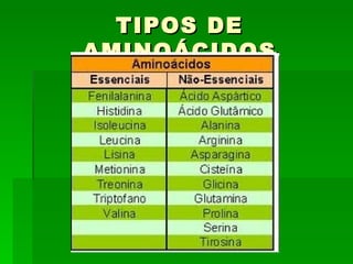 TIPOS DE
AMINOÁCIDOS
 