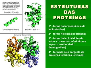 ESTRUTURAS
     DAS
  PROTEÍNAS
1ª - forma linear (sequência de
aminoácidos)
2ª - forma helicoidal (colágeno)
3ª - forma helicoidal dobrada
sobre si mesma conferindo um
aspecto arredondado
(hemoglobina)
4ª - formada pelo conjunto de
proteinas terciárias (enzimas)
 