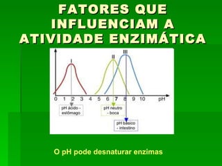 FATORES QUE
   INFLUENCIAM A
ATIVIDADE ENZIMÁTICA




   O pH pode desnaturar enzimas
 