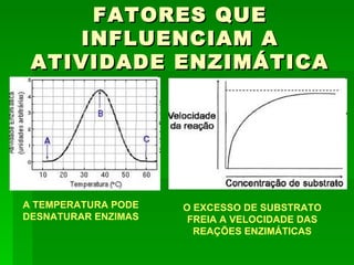 FATORES QUE
    INFLUENCIAM A
 ATIVIDADE ENZIMÁTICA




A TEMPERATURA PODE   O EXCESSO DE SUBSTRATO
DESNATURAR ENZIMAS    FREIA A VELOCIDADE DAS
                       REAÇÕES ENZIMÁTICAS
 